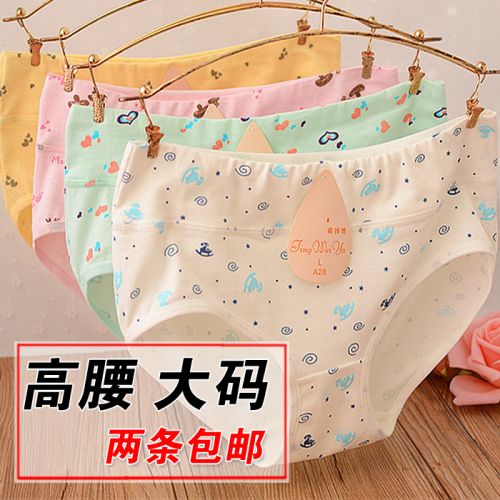 Slip Moyen-âge simple en coton - Ref 648419