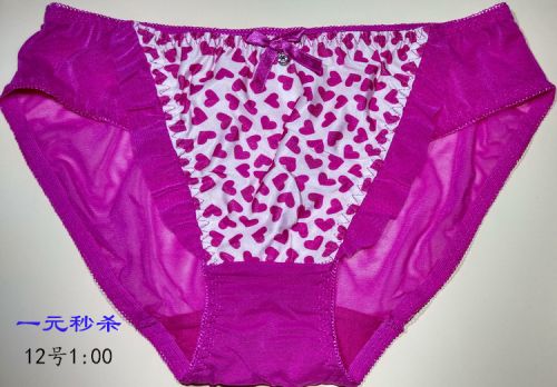 Slip en nylon - Ref 649505