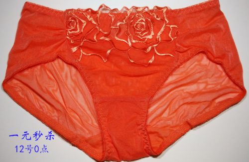 Slip en nylon - Ref 649510