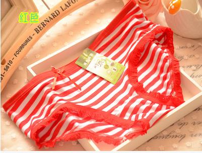  Slip en coton - Ref 650455