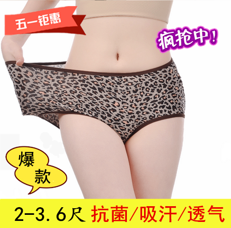 Slip jeunesse en coton - Ref 650545