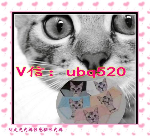  Slip jeunesse en coton - Ref 650847