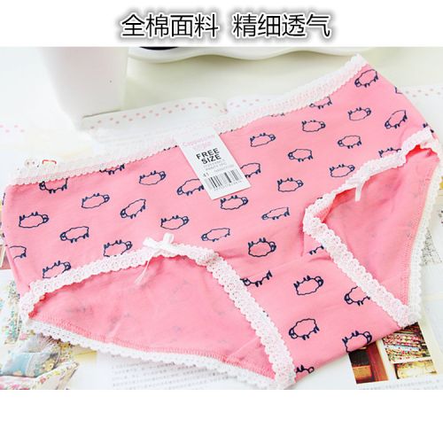 Slip en coton - Ref 652969