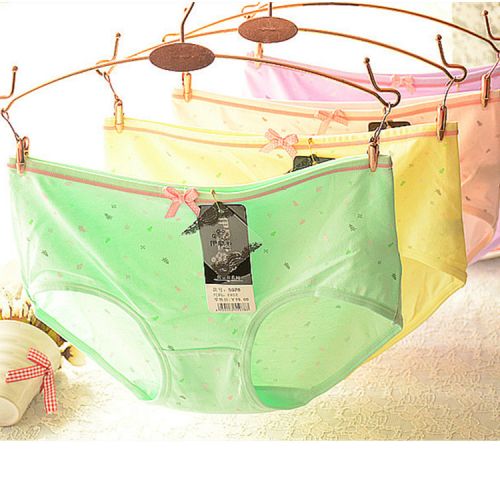 Slip en coton - Ref 653170
