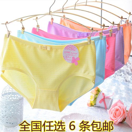 Slip simple en coton - Ref 653252