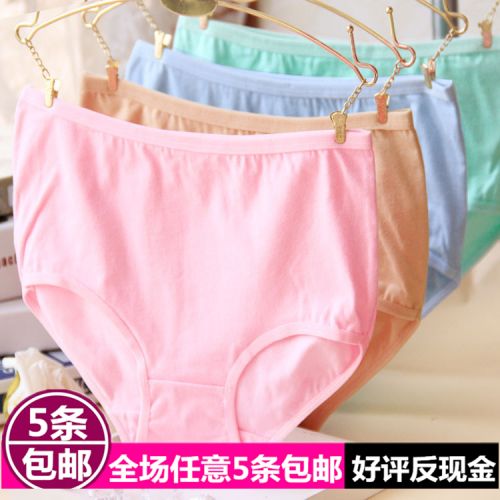Slip en coton - Ref 653450