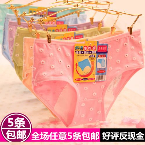 Slip pantalons physiologiques en coton - Ref 653478