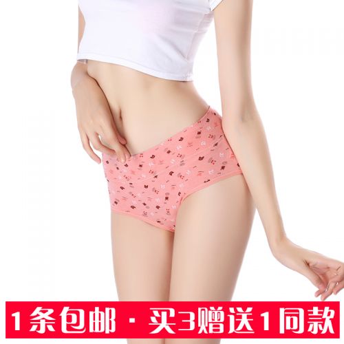 Slip jeunesse en coton - Ref 654230