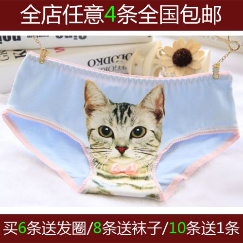 Slip jeunesse simple en coton - Ref 654919