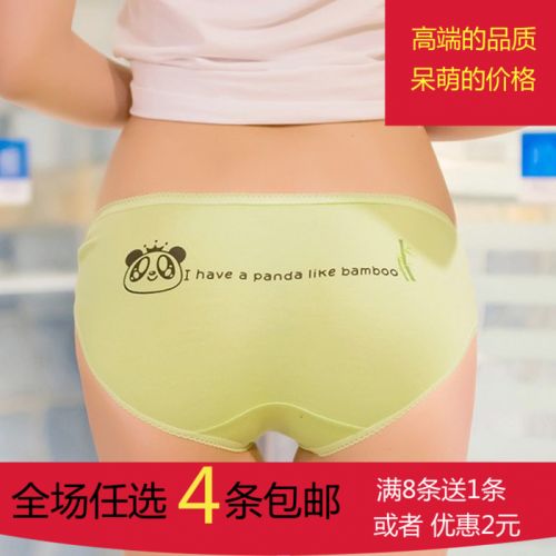  Slip jeunesse ours en coton - Ref 655337