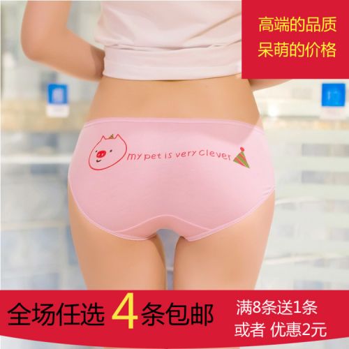 Slip jeune zhu en coton - Ref 655364