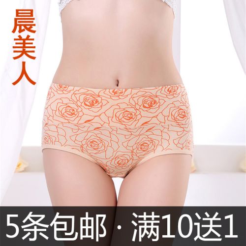 Slip jeunesse en coton - Ref 655558