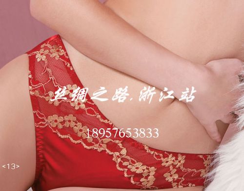 Slip en soie - Ref 662501