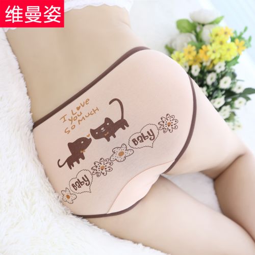 Slip jeunesse en coton - Ref 666611