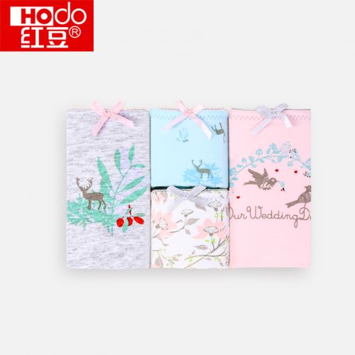  Slip jeunesse HODO en coton - Ref 666824