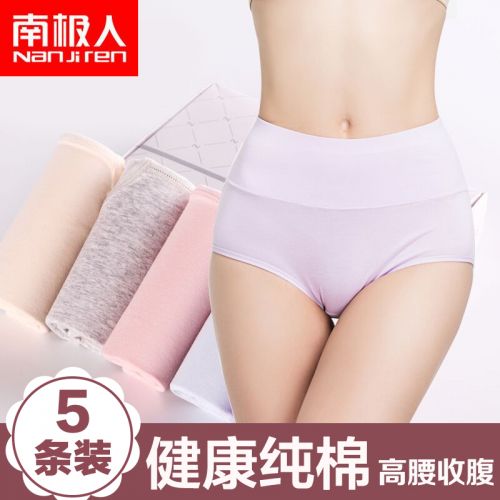  Slip Moyen-âge en coton - Ref 669113