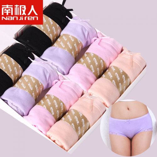  Slip en coton - Ref 669247