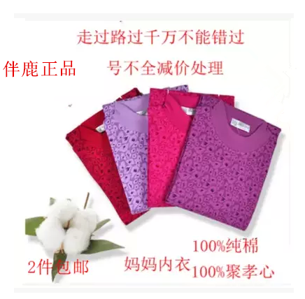 Sous-vêtement chaud Moyen-âge luxueux en coton coloré - Ref 728111