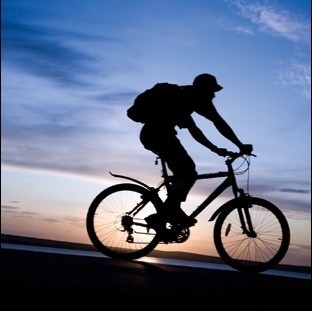 Sticker pour vélos - Ref 2292552