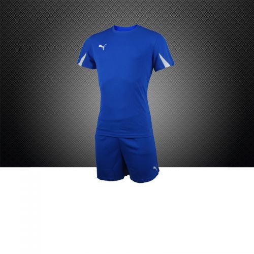 Survêtement de sport homme PUMA - Ref 511244