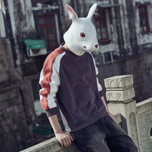 Sweatshirt homme en Coton - Ref 3128079