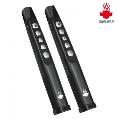 Telecommande - pointeur laser - Ref 384125