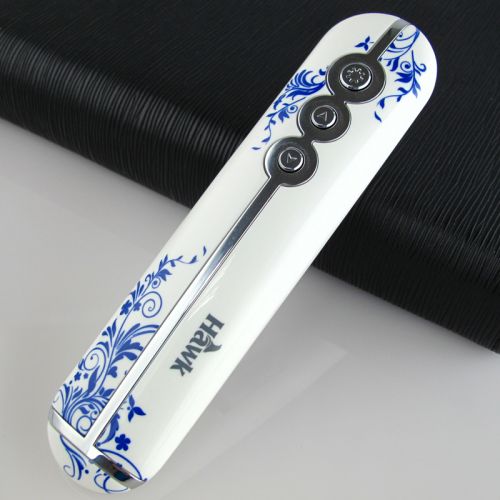 Telecommande - pointeur laser - Ref 391392