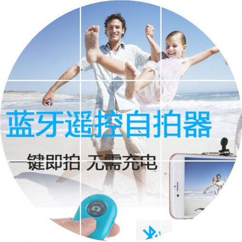 Télécommande pour téléphone portable - Ref 302141