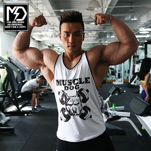  Tenue de sport homme MUSCLEDOG en polyester - Ref 470906