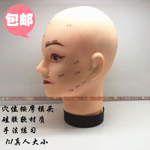 Tête mannequin - Ref 261132