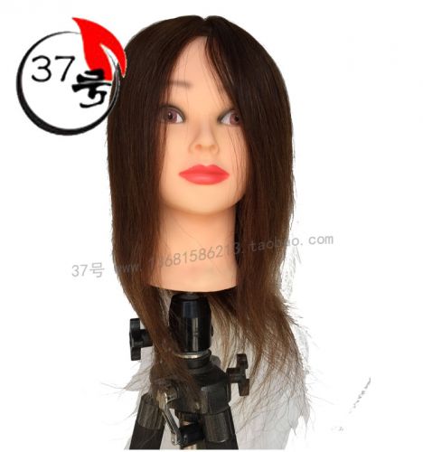 Tête mannequin - Ref 264648