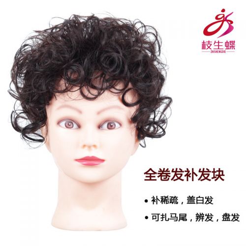 Tête mannequin - Ref 281379