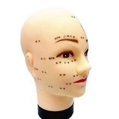 Tête mannequin - Ref 281535