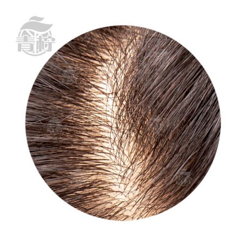 Tête mannequin - Ref 281774