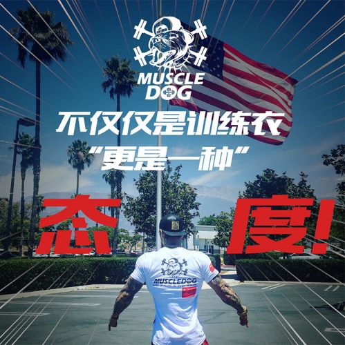  Tshirt de sport uniGenre - Ref 465832