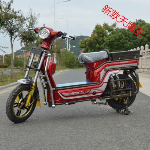 Scooter électrique 60V 16 pouces - Ref 2386742