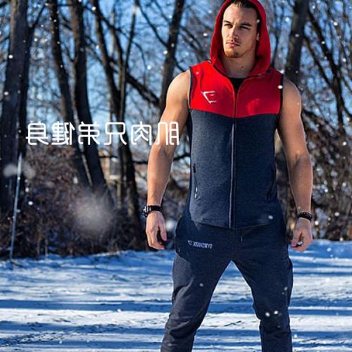  Veste hiver sans manche homme en coton - Ref 579770