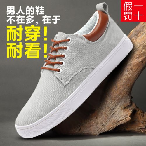 baskets homme jeunesse, 18-40 ans, WARRIOR pour printe