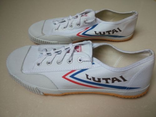 baskets homme jeunesse, 18-40 ans, pour printemps - semelle caoutchouc Ref 974929