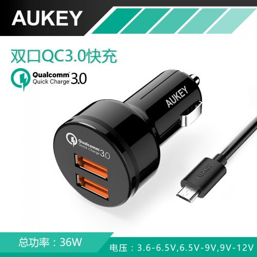 chargeur AUKEY pour IPAD, IPAD 2, IPhone 3G-3GS, 4, Génération D'IPhone , IPOD NANO5, 5 3A, 2A - Ref 1292525