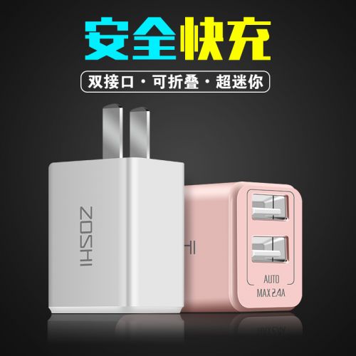 chargeur ZOSHI - Ref 1301872