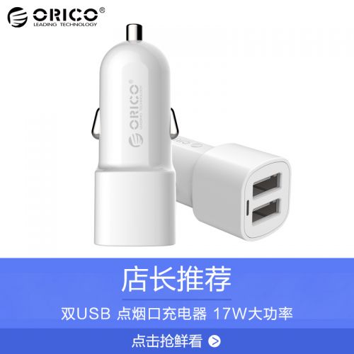 chargeur ORICO - Ref 1302057