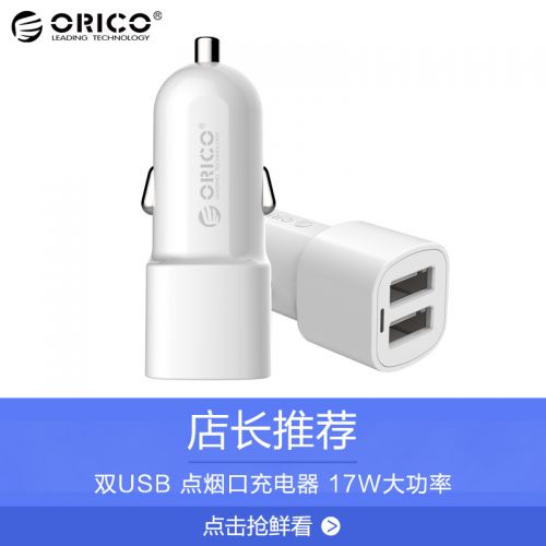 chargeur ORICO 2A - Ref 1302405