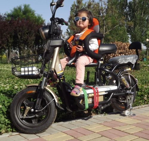 siège enfants pour vélo - Ref 2421208