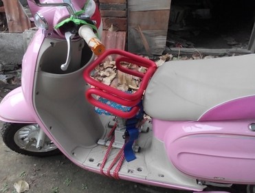 siège enfants pour vélo - Ref 2426658