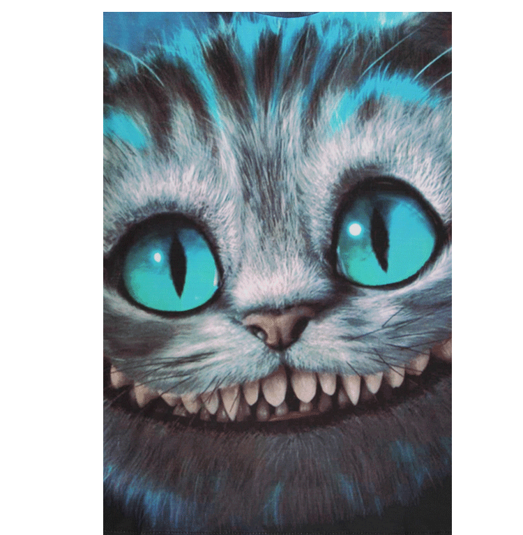T-shirt_3D_Parodie_chat_387-pic5